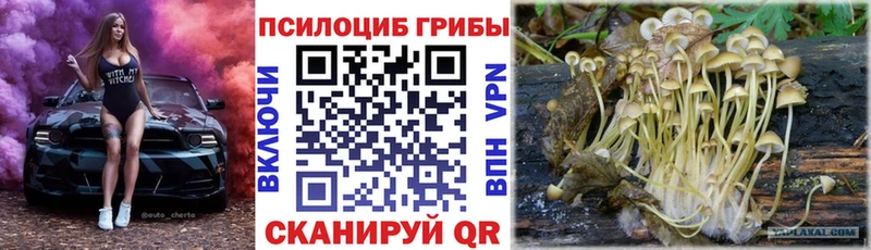 Купить где  Бирюсинск  Псилоцибиновые грибы мухоморы 